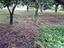 Immagine 16