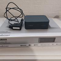 streamer Yamaha Musiccast WXAD-10