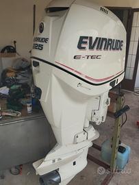 Evinrude 225 e Tec