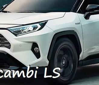 Ricambi per toyota rav 4 2019