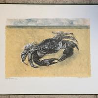 Litografia Renzo Vespignani “granchio”