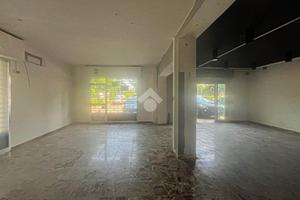 NEGOZIO A SPILAMBERTO