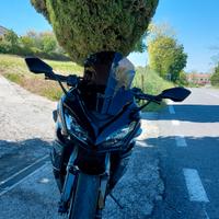 Cupolino Ermax Ninja 1000sx