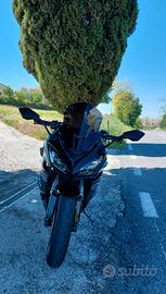 Cupolino Ermax Ninja 1000sx