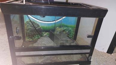 Terrario. 50x37x31 cm. Ritiro a Besozzo Varese