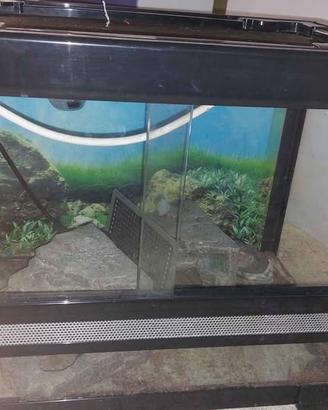 Terrario. 50x37x31 cm. Ritiro a Besozzo Varese