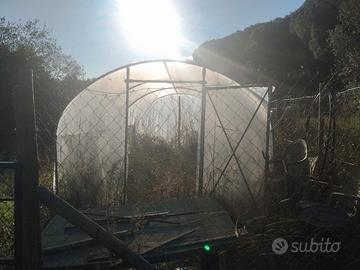 Serra 3x6mt in acciaio  con porta e telo polietile