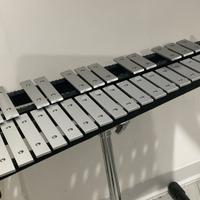 Glockenspiel mapex