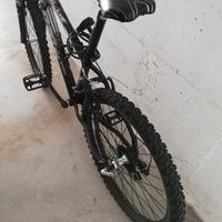 Bici mountainbike
