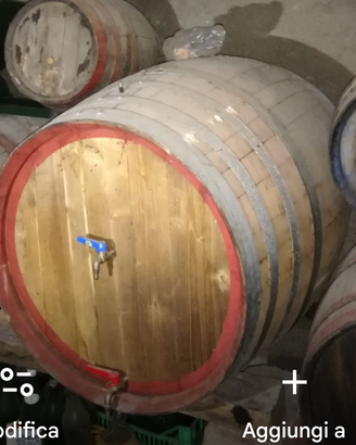Botti in legno per vino