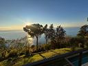 villa-di-467-m²-con-piu-di-5-locali-e-box-auto-dop