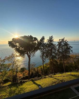 Villa di 467 m² con più di 5 locali e box auto dop