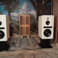 Diffusori acustici attivi BRINK ACOUSTIC