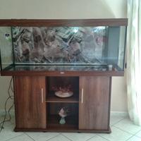 Acquario juwel rio 450 super accessoriato