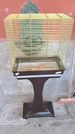 GABBIA COCORITA MAX 2