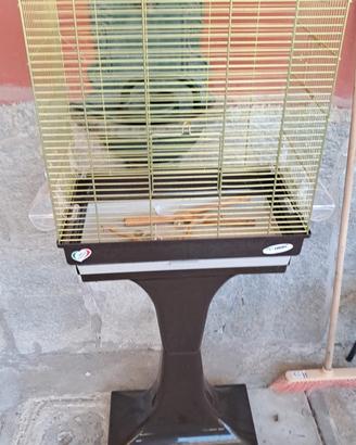 GABBIA COCORITA MAX 2