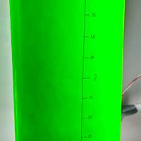 Fitoplancton tetraselmis acquario marino