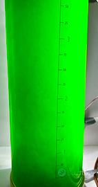 Fitoplancton tetraselmis acquario marino