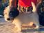 Immagine 5