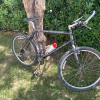 MTB Marin Bear Valley