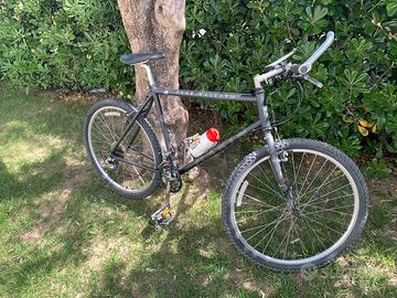 MTB Marin Bear Valley