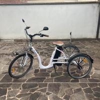 Bici Elettrica Triplex a pedalata assistita