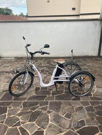 Bici Elettrica Triplex a pedalata assistita