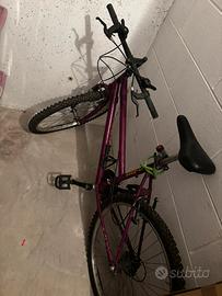 bici mountain bike da sistemare