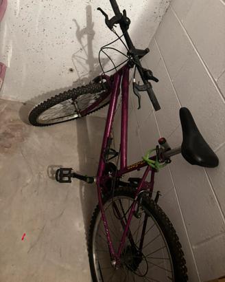bici mountain bike da sistemare
