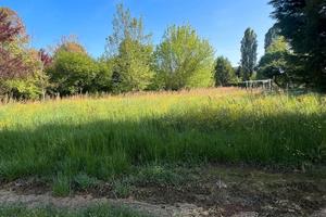 Terreno agricolo a mestre