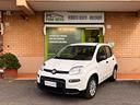 fiat-panda-1-0-firefly-s-s-hybrid