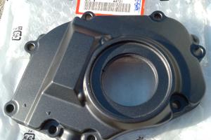 Carterino Honda Hornet 600/900