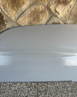 Pannello porta smart fortwo 450