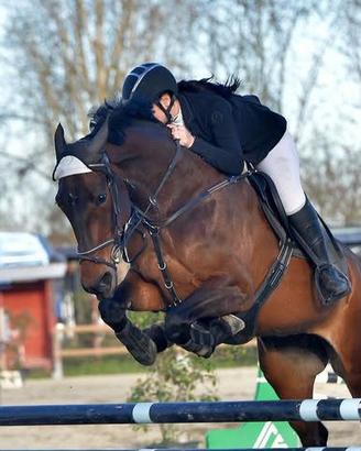 Cavallo salto
