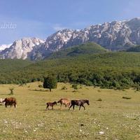 Casa indipendente con 2 cantine a Secinaro (AQ)