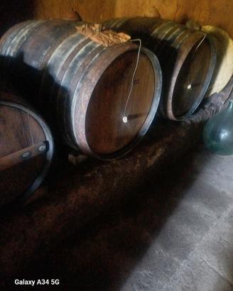 botti in rovere