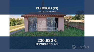 Immobile in asta di 383 m² con box auto a Peccioli