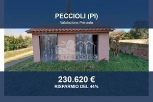 Immobile in asta di 383 m² con box auto a Peccioli