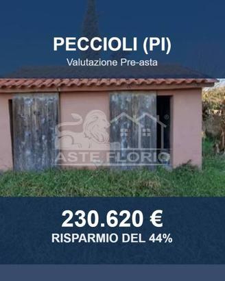 Immobile in asta di 383 m² con box auto a Peccioli