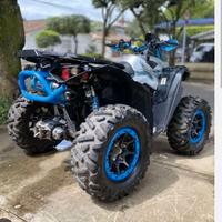 Gomme can am RENEGADE cinghia Kenda