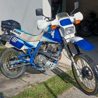 Suzuki DR 600 1988, motore e cambio rifatti