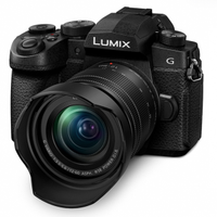 PANASONIC LUMIX GH5 con Lenti Lumix 14-140 e 12-60