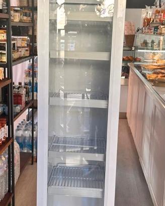 FRIGO VETRINA PROFESSIONALE COOL WISE