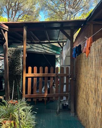 Pergola legno