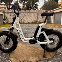 Ebike fantic issimo