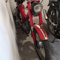 mzv Cambridge con libretto 