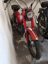 mzv Cambridge con libretto 