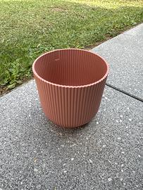 Vaso rosa