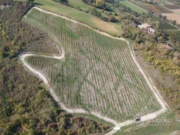 Terreno di 49400 m² a Savignano sul Panaro