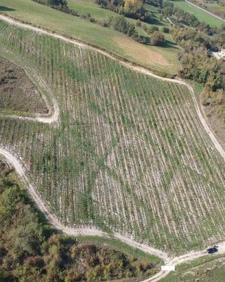 Terreno di 49400 m² a Savignano sul Panaro